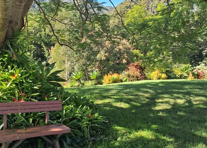 A View Of Mount Warning